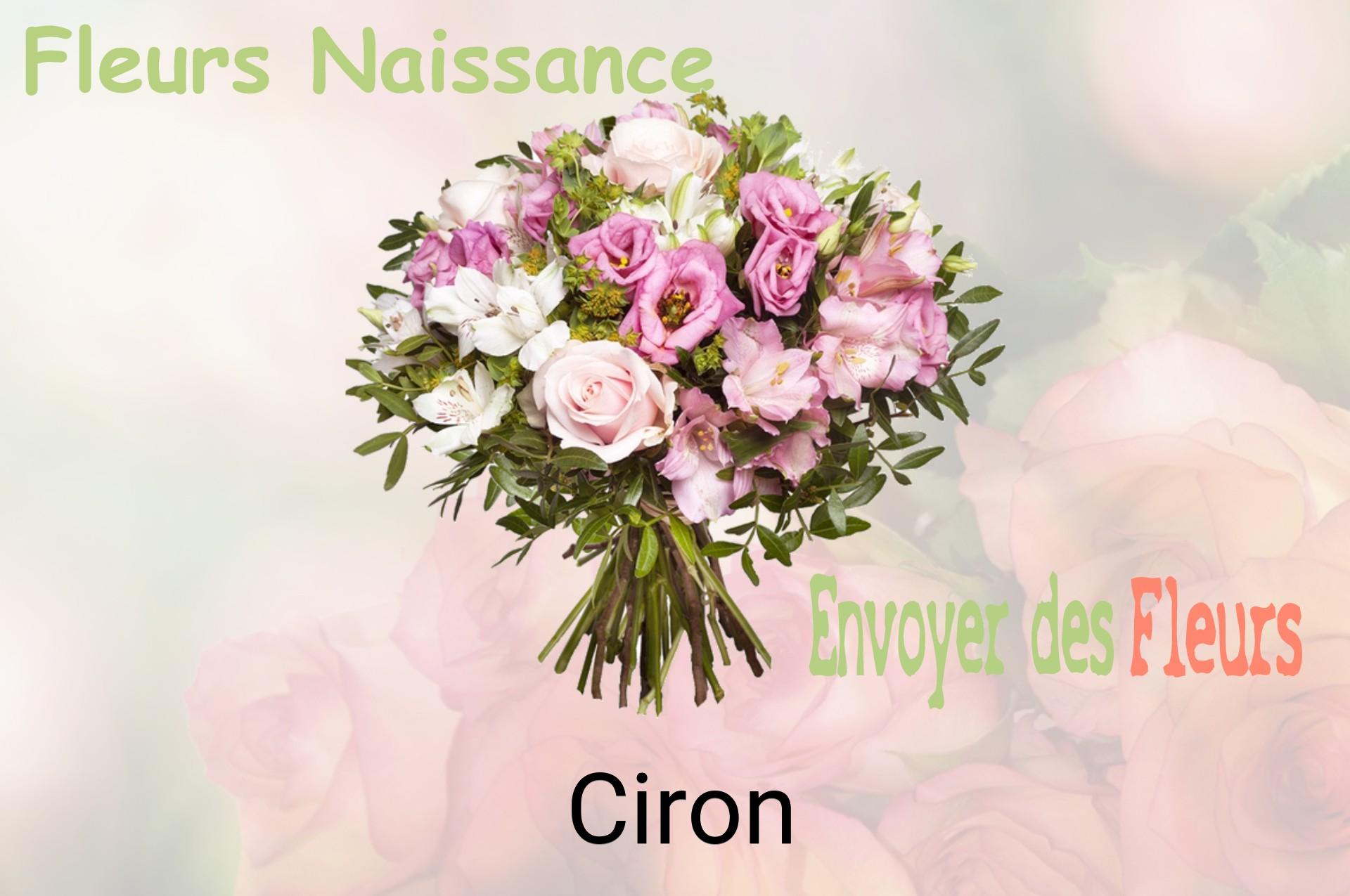Bouquet de fleurs de naissance livré à Ciron