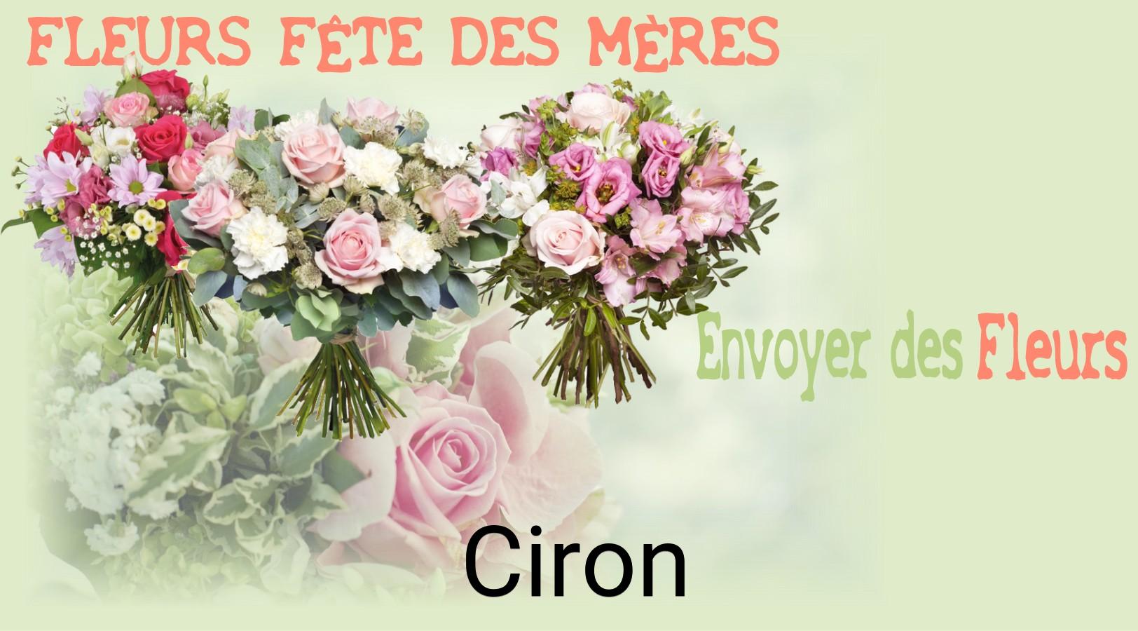 Bouquet de Fête des Mères livré à Ciron